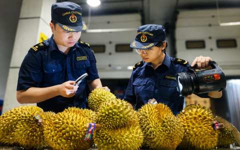 柬埔寨能否取代泰国和越南，成为中国下一个榴莲主要进口来源国？